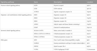 Genetic and epigenetic effects on couple adjustment in context of romantic relationship: A scoping systematic review